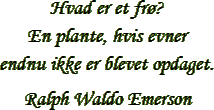 “Hvad er et frø? En plante, hvis evner endnu ikke er blevet opdaget.” – Ralph Waldo Emerson