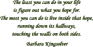 “The least you can do in your life
 is figure out what you hope for. The most you can do is live inside that hope, running down its hallways, touching the walls on both sides.” – Barbara Kingsolver