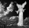 Angel, af Nevit Dilmen